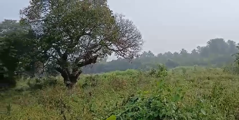  3.5 acre agri land for sale in Malvalli